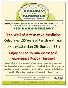 Parkdale Anniversary Posters - The Well - Jan 2014